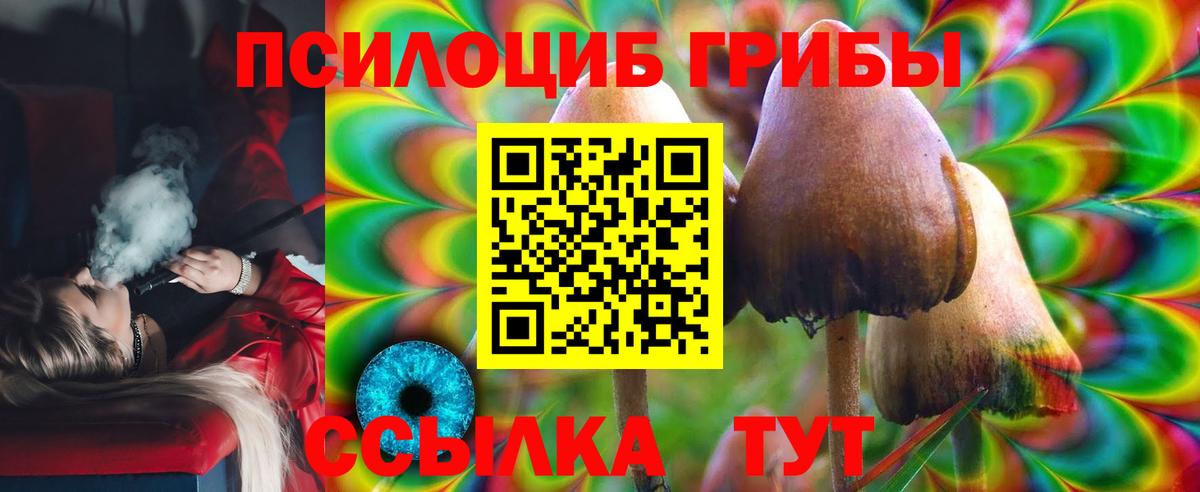 Псилоцибиновые грибы ЛСД Горно-Алтайск