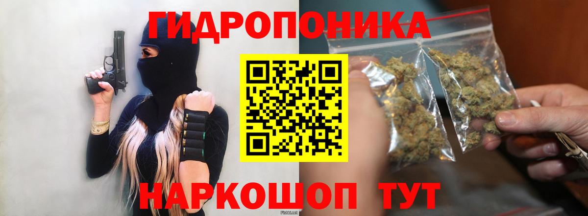 Марихуана ГИДРОПОН Горно-Алтайск